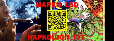 гидропоника Нальчик
