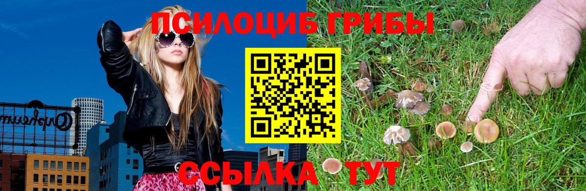 Галлюциногенные грибы мицелий  Галлюциногенные грибы Psilocybe  Сокол  Вход с VPN 