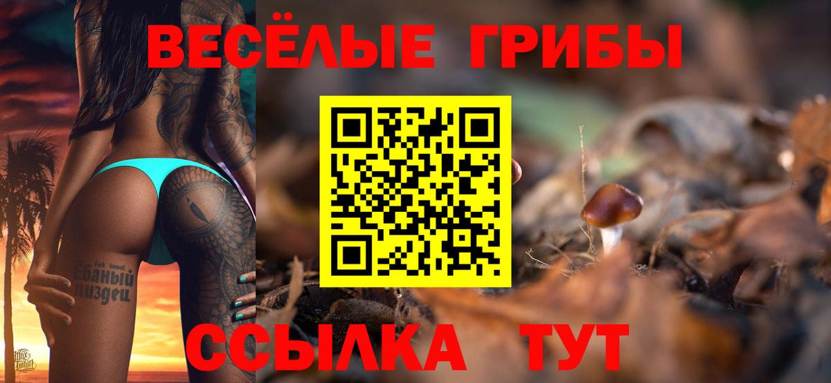 Галлюциногенные грибы мицелий Сокол